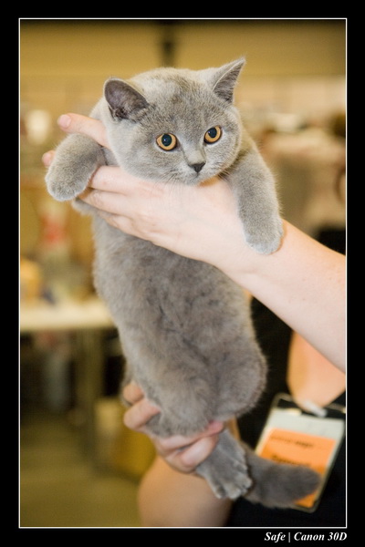 Sep 06 - Salon des animaux de compagnies - 29